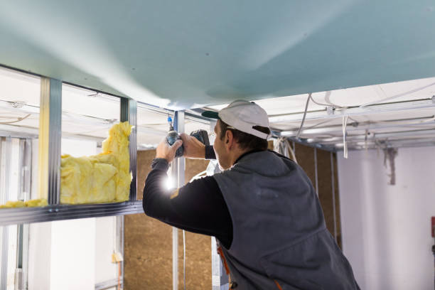 Types of Insulation We Offer in Aurora, MN