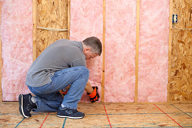 Best Geographic-Specific Insulation Services in Aurora, MN